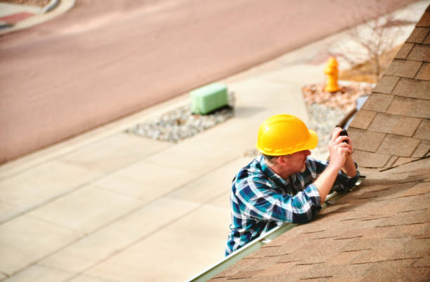 Best Roof Gutter Cleaning  in Rock Rapids, IA