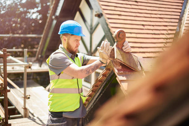 Best Metal Roofing Contractor  in Rock Rapids, IA